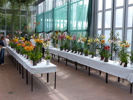 Foto: Dr. Peter Müller